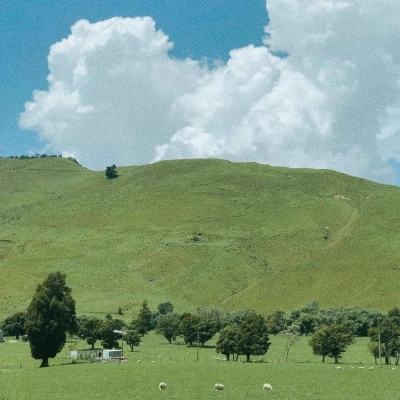 Kaiyun·开云体育