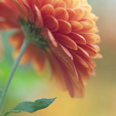 经典牛牛下载手机版