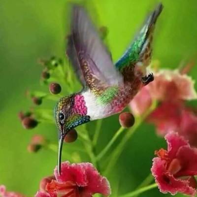 风云体育app下载官网