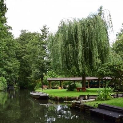 ayx在线登录入口下载手机版