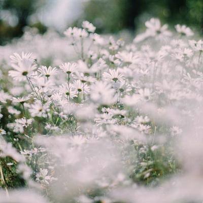 江南官方全站app下载