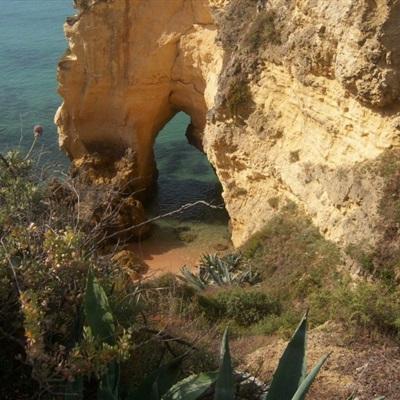 Kaiyun(云开)体育App(官方)截图