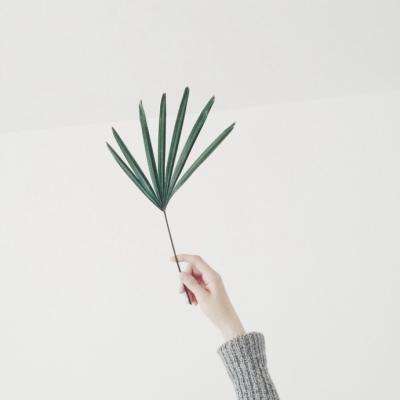 必赢亚洲下载手机版