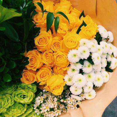 BOB体育综合官方平台APP