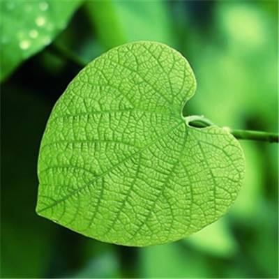 金沙集团9500手机app下载截图